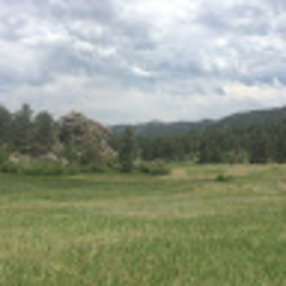 Meet your Posher, Johnathan - Picture 1 of 1